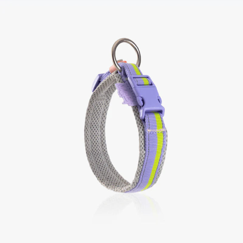 Maogoublue collar - Grape purple