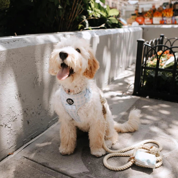 Furlou Rope Leash - Vanilla Cream