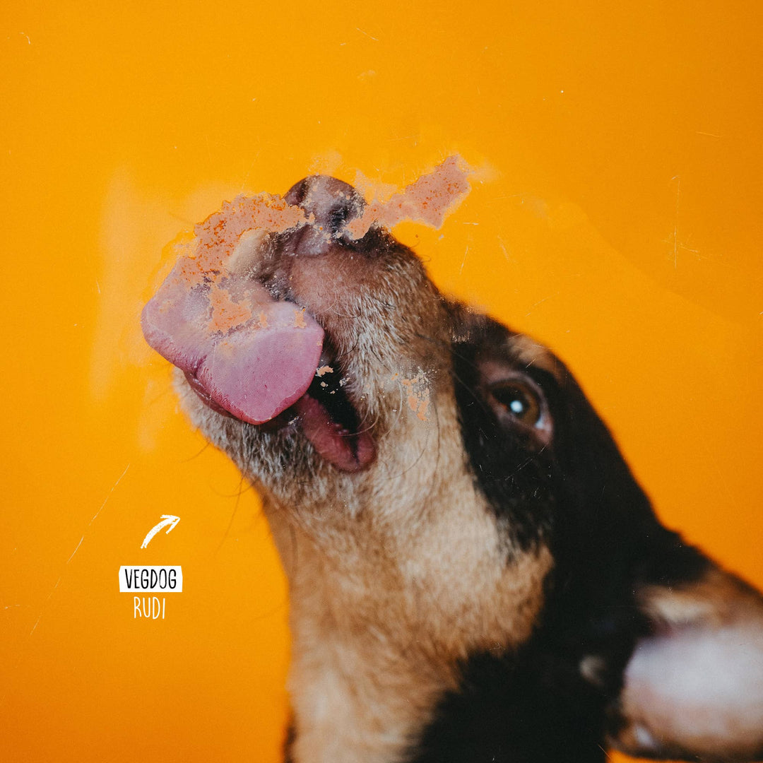 VEGDOG LEVERVURST augalinis laižomas skanėstas šunims (75 g.)