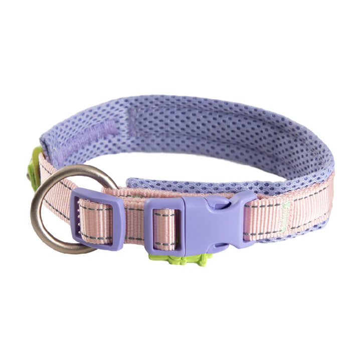 Maogoublue collar - Grape pink