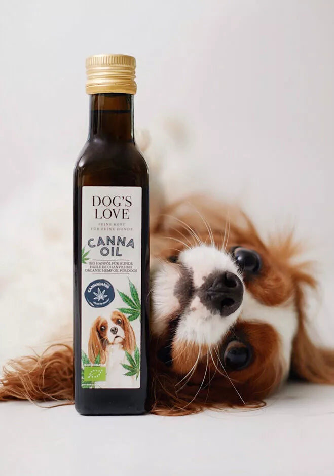 DOG'S LOVE šalto spaudimo ekologiškas kanapių aliejus (250 ml.)