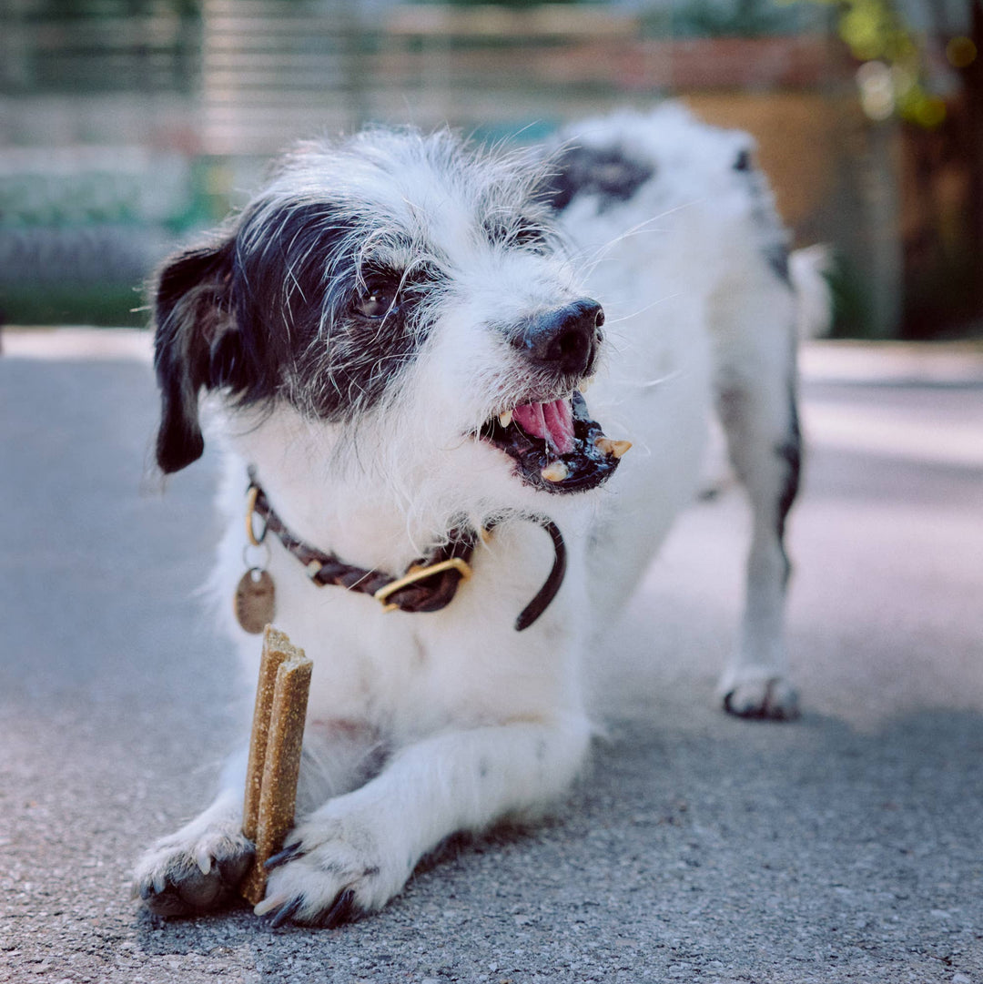 VEGDOG MOBILITIES augaliniai kramtomieji skanėstai sąnariams (115 g.)