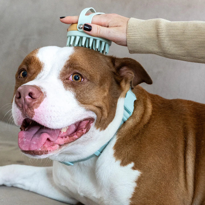 Lomi bambukinis šepetys šunims ir katėms