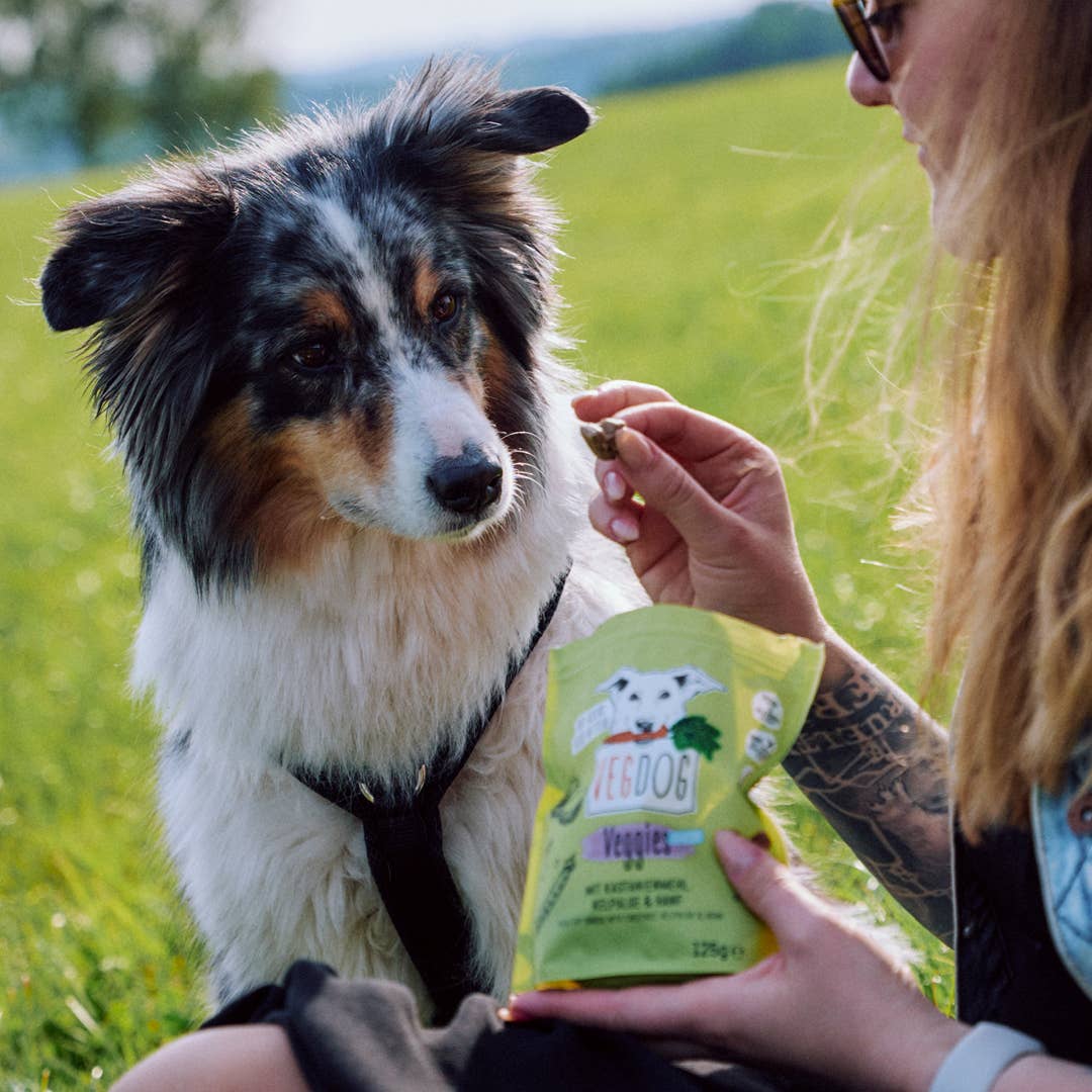 VEGDOG VEGGIES Skincare augaliniai skanėstai šunims odai ir kailiui (125 g.)