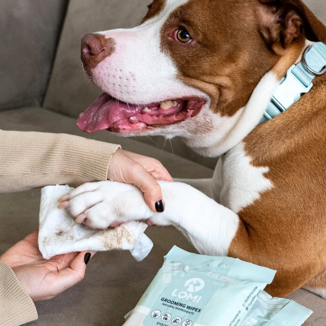 Lomi alavijų ir ramunėlių drėgnos servetėlės (20 vnt.)