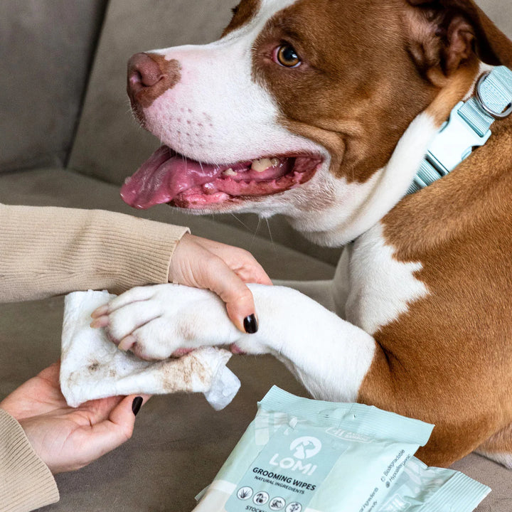 Lomi alavijų ir ramunėlių drėgnos servetėlės (20 vnt.)