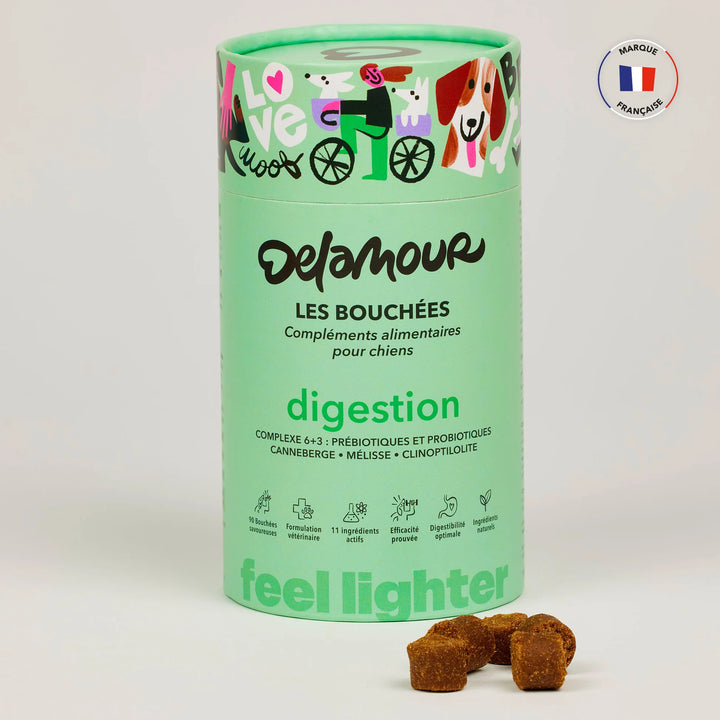 Delamour maisto papildai - virškinimui (90 vnt.)