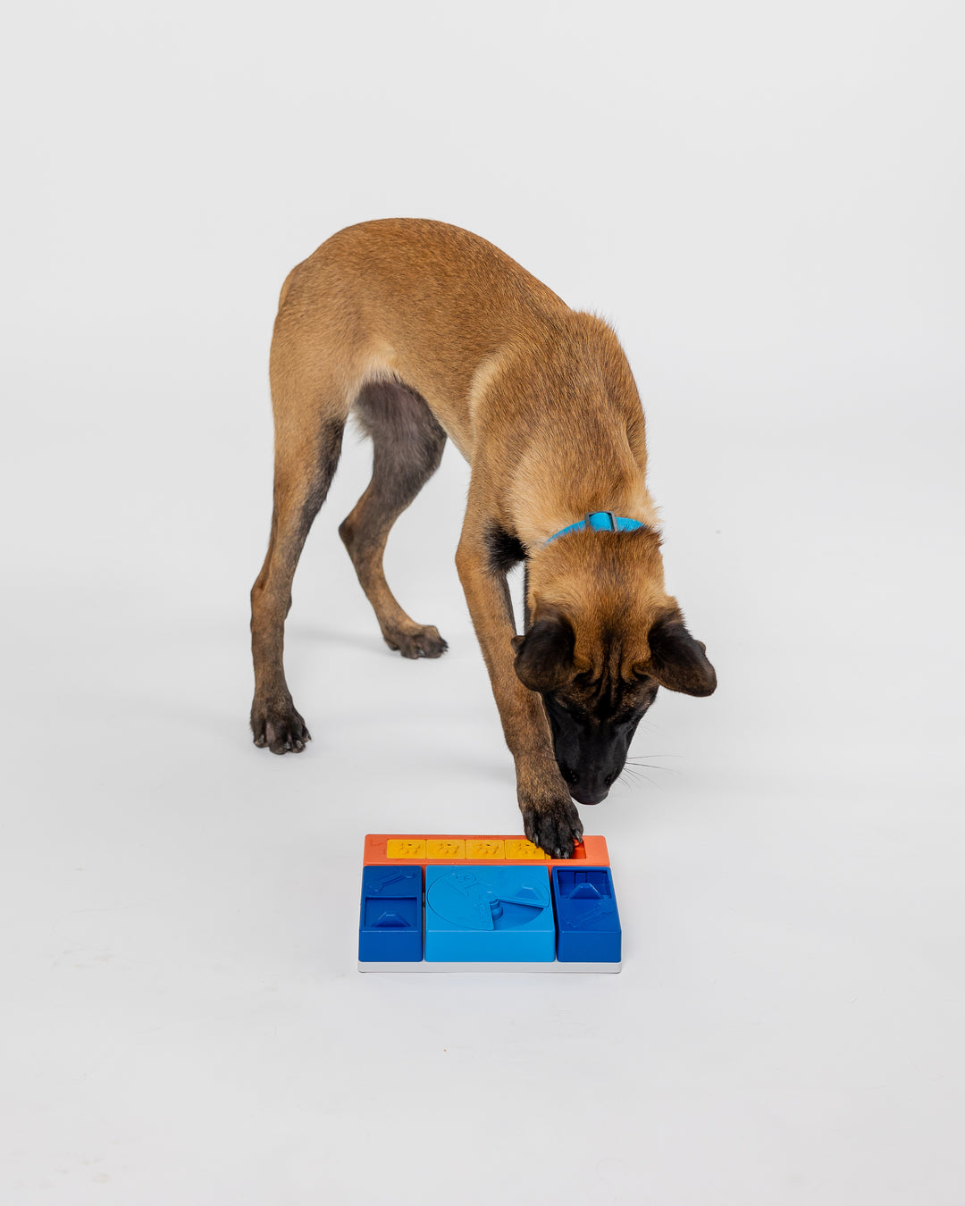 Pawzler interaktyvus žaislas šunims - Beginner set