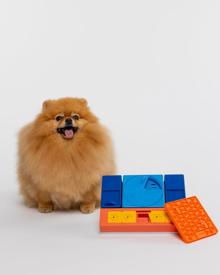 Pawzler interaktyvus žaislas šunims - Beginner set