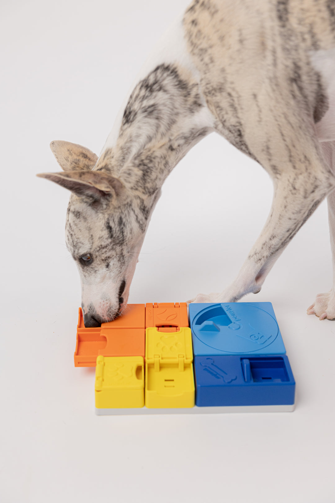 Pawzler interaktyvus žaislas šunims - Rainbow set