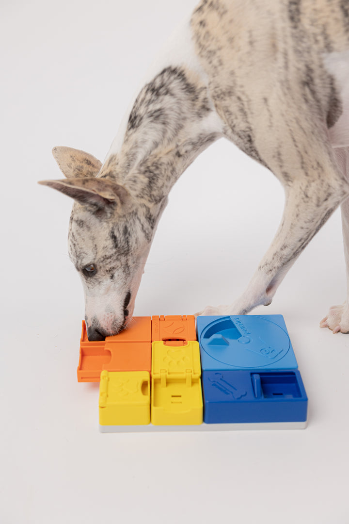 Pawzler interaktyvus žaislas šunims - Rainbow set