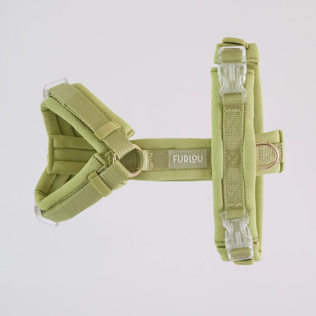 Furlou soft braces - Lavender