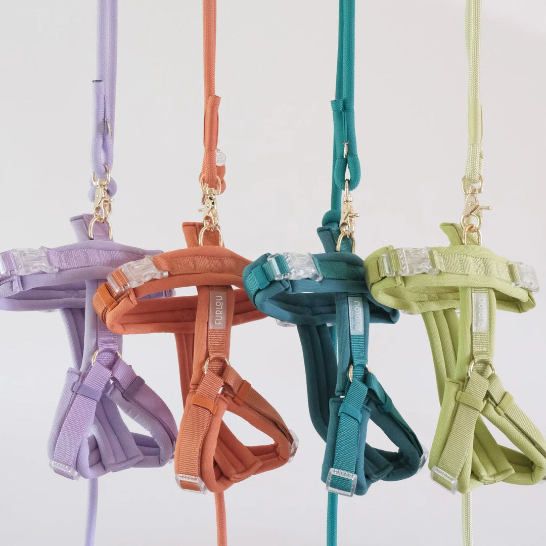 Furlou soft braces - Lavender