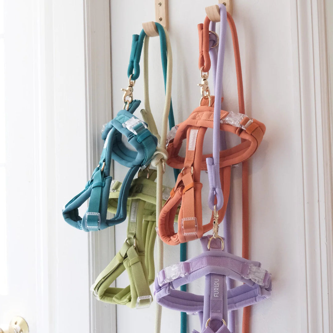 Furlou soft braces - Lavender