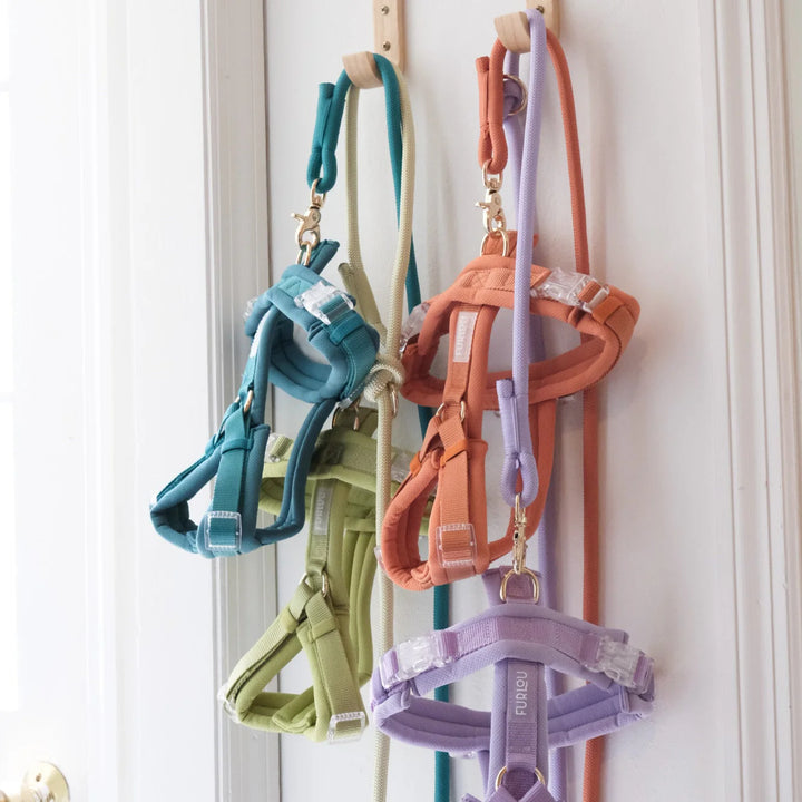 Furlou soft braces - Lavender