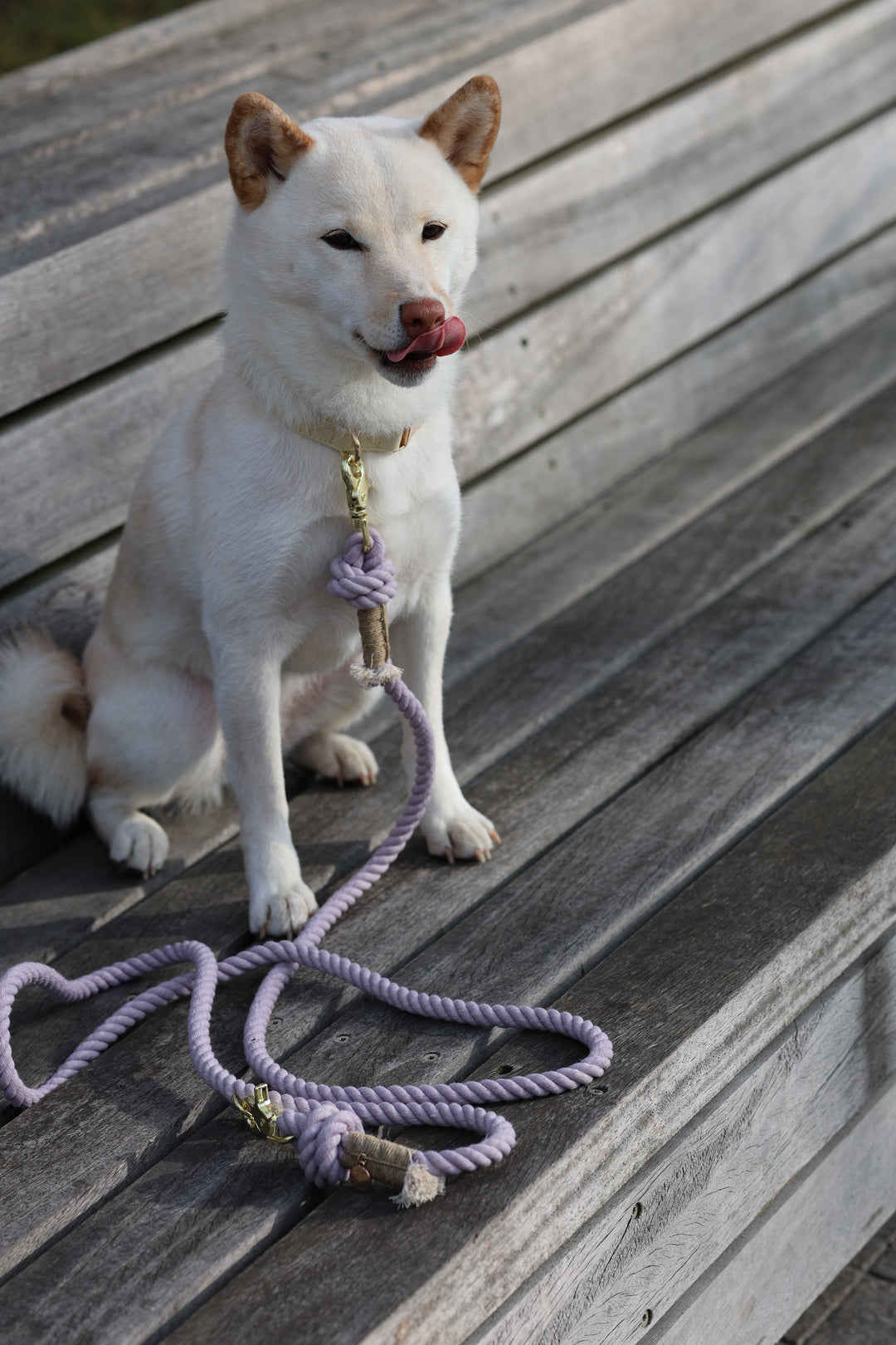 Furlou Rope Leash - Lavender Fields