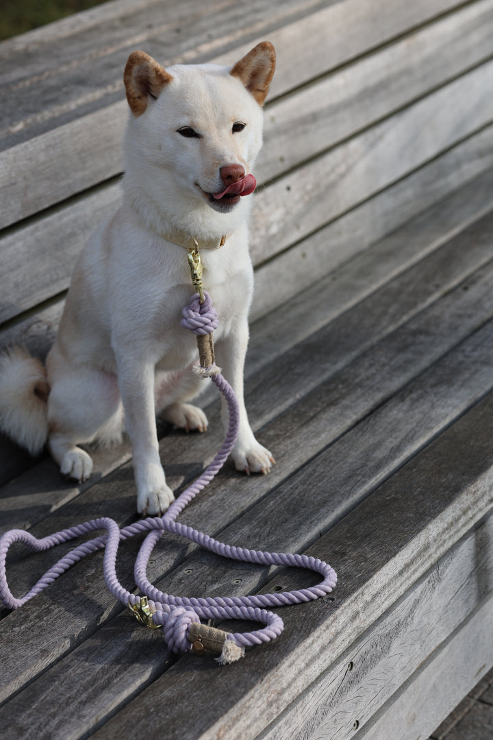 Furlou Rope Leash - Lavender Fields