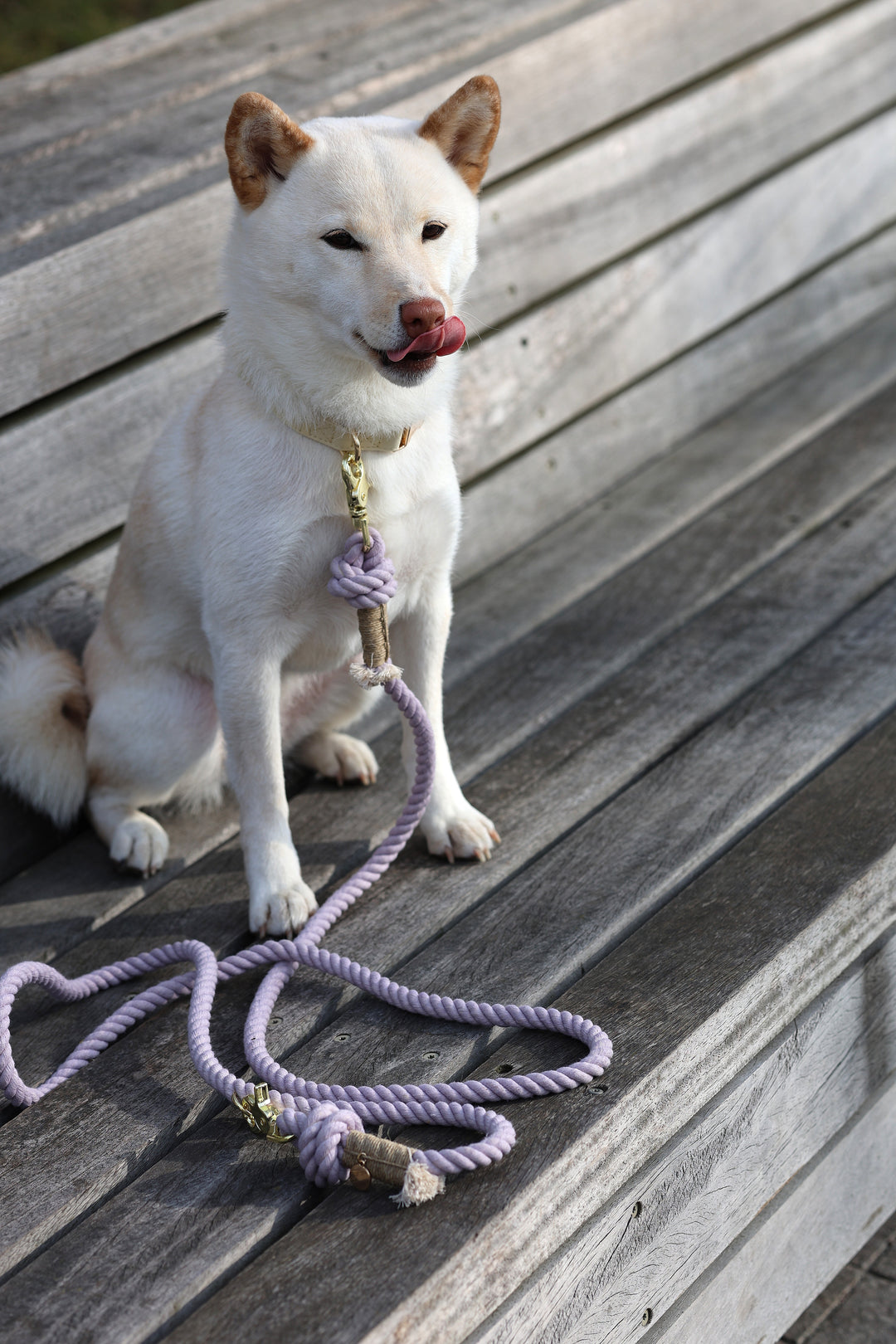Furlou Rope Multifunctional Leash - Lavender Fields