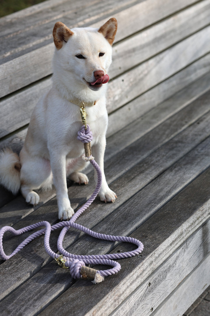 Furlou Rope Multifunctional Leash - Lavender Fields