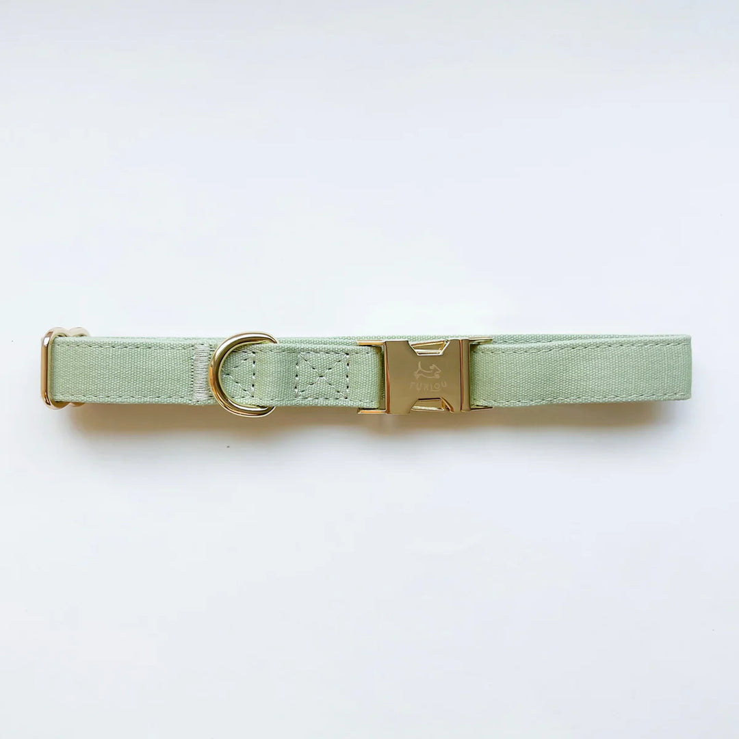 Furlow Collar - Sage Green 