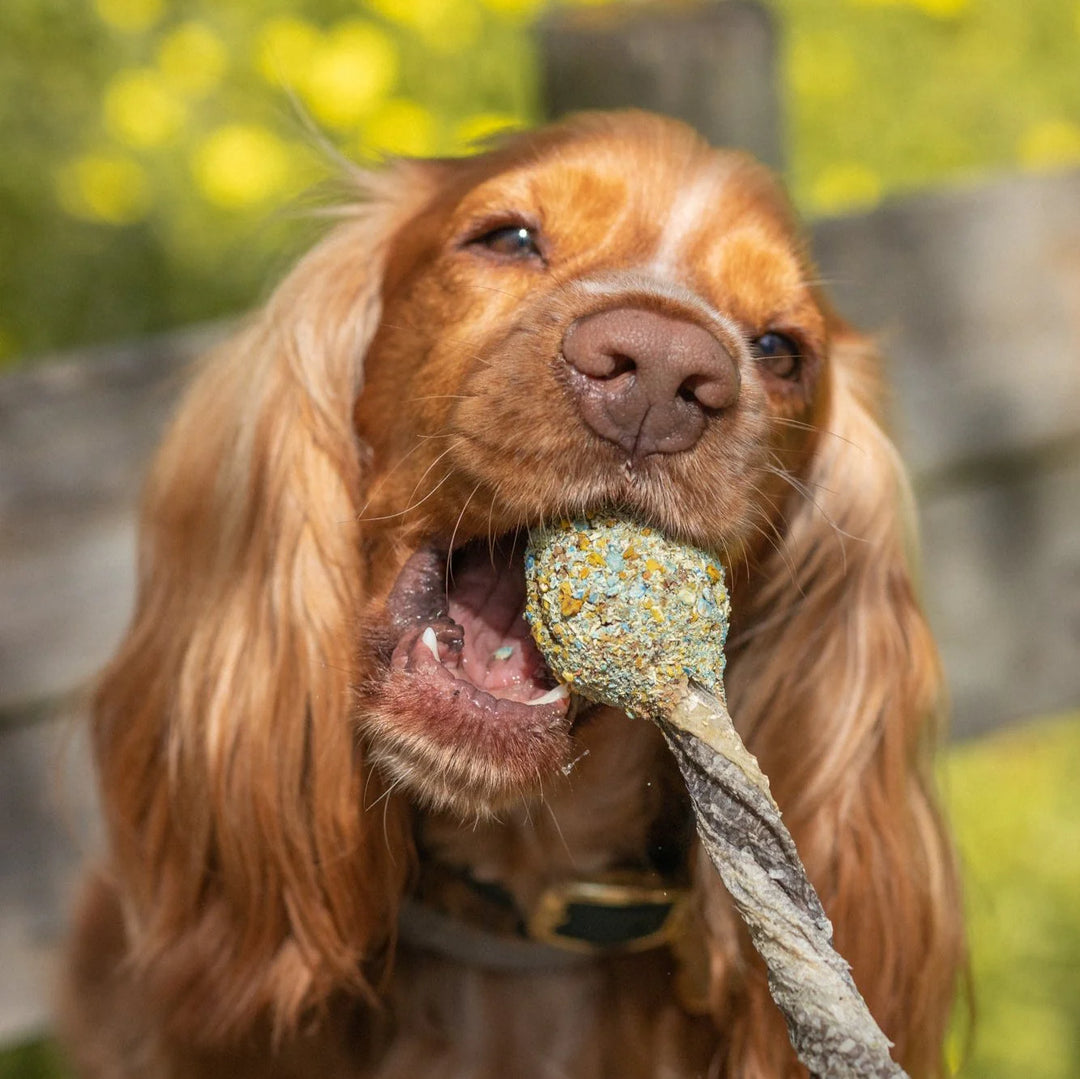 Cooka's Cookies lollipop su menke ir kalakutiena (45 g.)