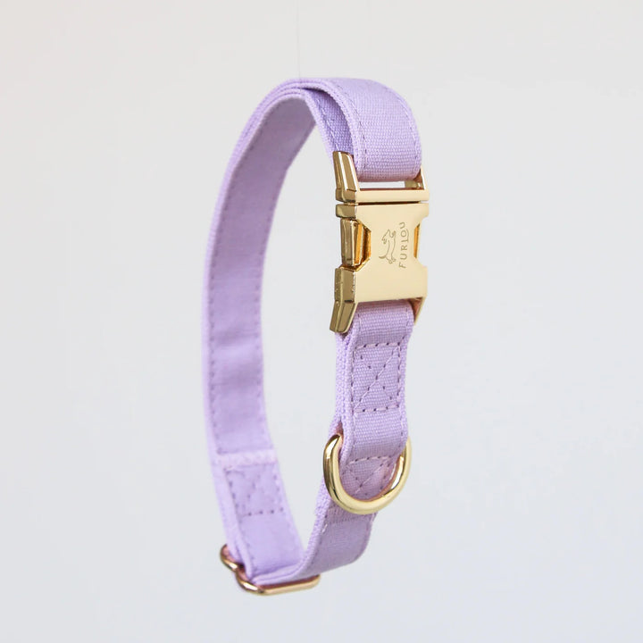 Furlow Collar - Lavender 