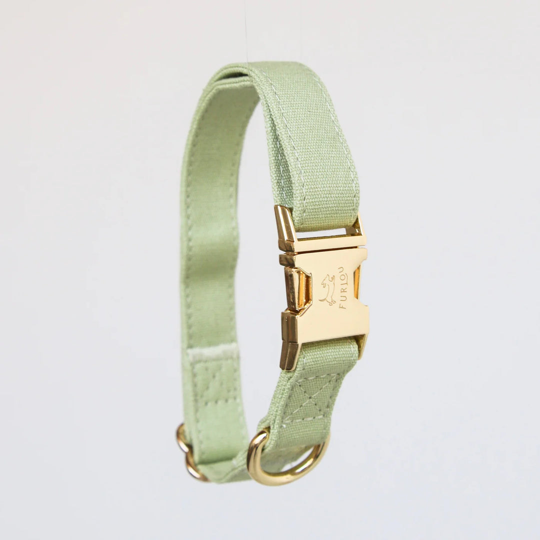 Furlow Collar - Sage Green 