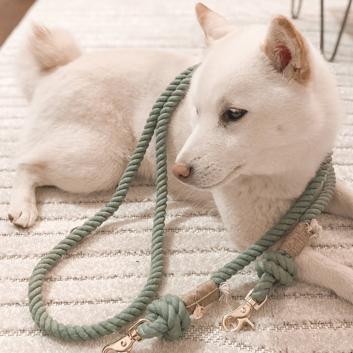 Furlou Rope Leash - Desert Sage