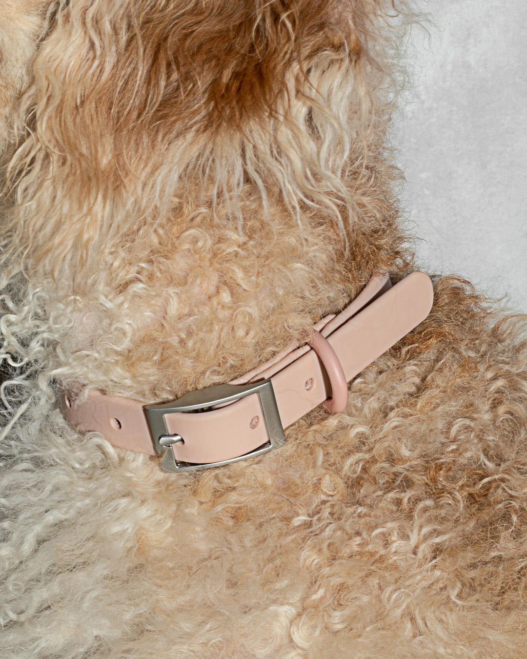 Collar - Blush