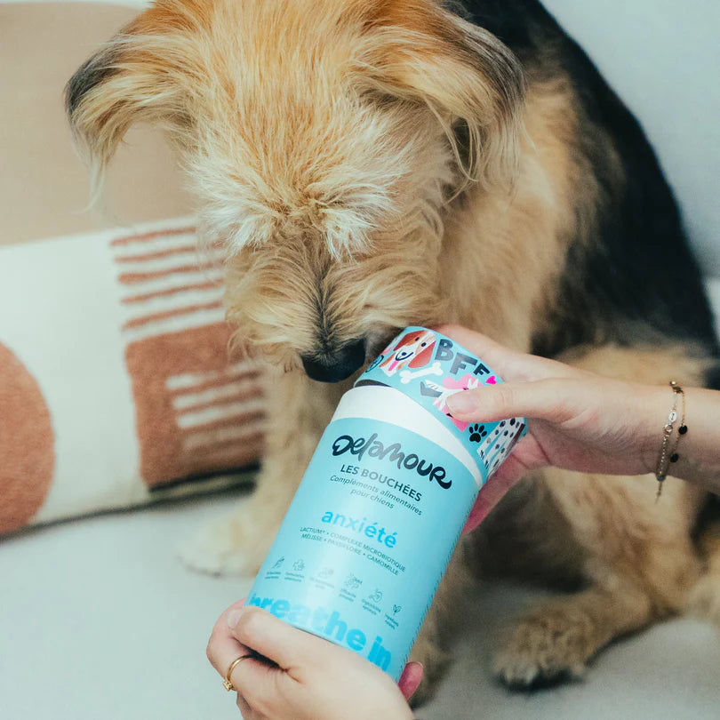 Delamour natūralūs maisto papildai - nerimui ir stresui raminti (90 vnt.)