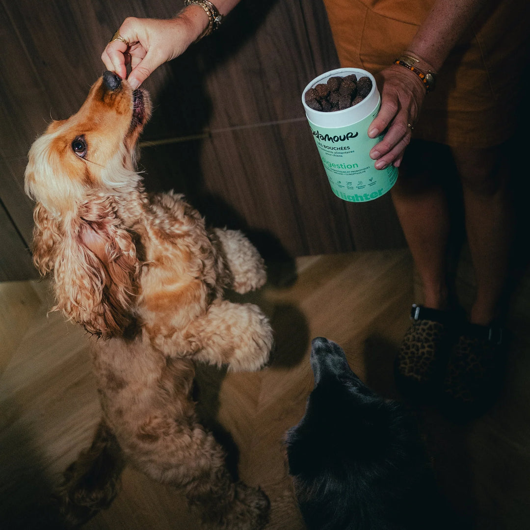 Delamour maisto papildai - virškinimui (90 vnt.)