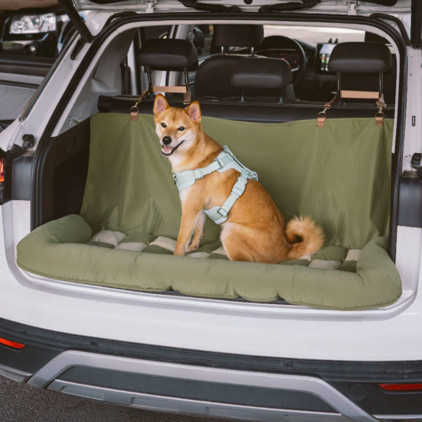 Travel car soft cover