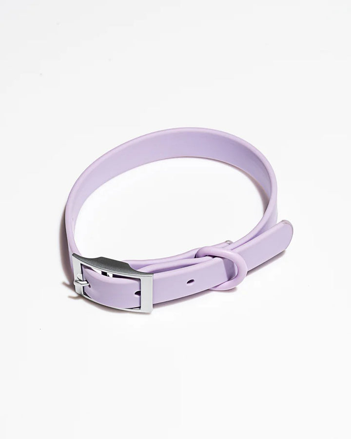 Collar - Lilac