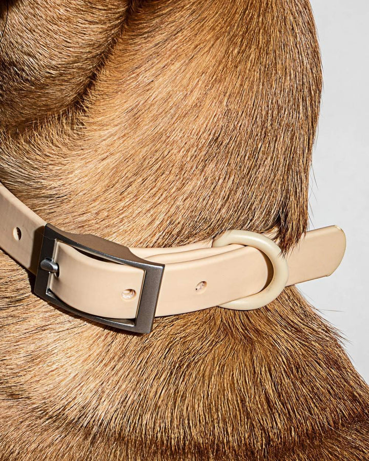 Collar - Sand