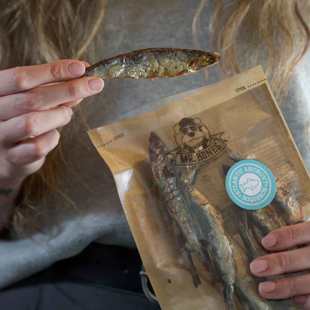 Mr. Bones natūralūs Atlanto ančiuvių skanėstai šunims (50 g.)