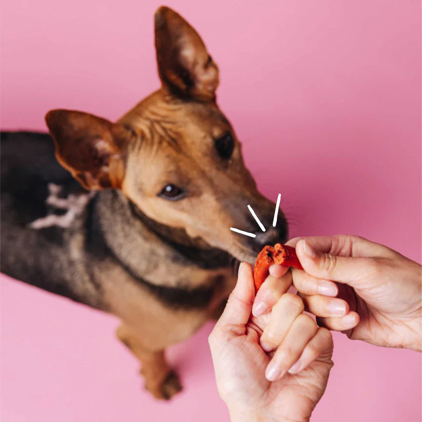 VEGDOG BEEVYS augaliniai skanėstai šunims su burokėliais ir buko dūmo aromatu (80 g.)