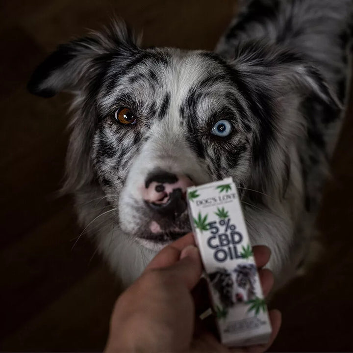 DOG'S LOVE CBD lašiukai (5%) šunims (10 ml.)
