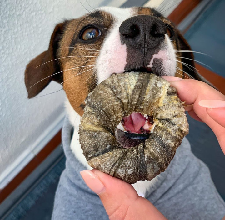 Cooka's Cookies traškios menkės odos spurgos (70 g.)