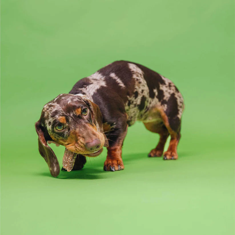 VEGDOG DENTALS augaliniai dantų priežiūros kramtukai šunims (120 g.)