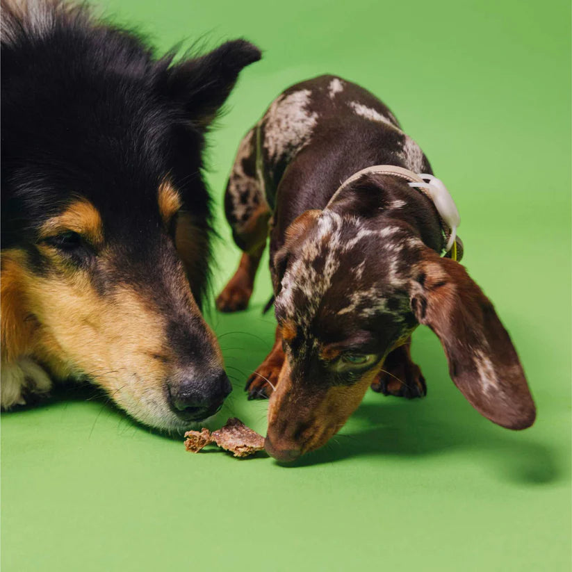 VEGDOG DENTALS augaliniai dantų priežiūros kramtukai šunims (120 g.)