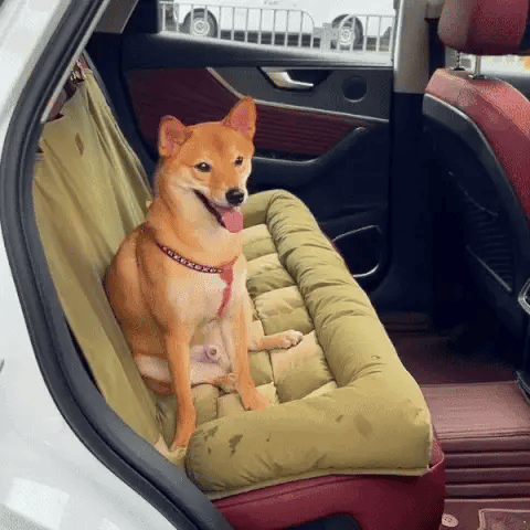 Travel car soft cover