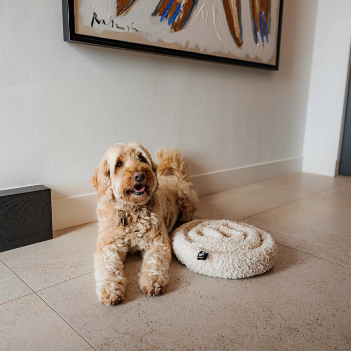 District70 SWIRL uostymo interaktyvus ir stimuliuojantis kilimėlis - Merengue