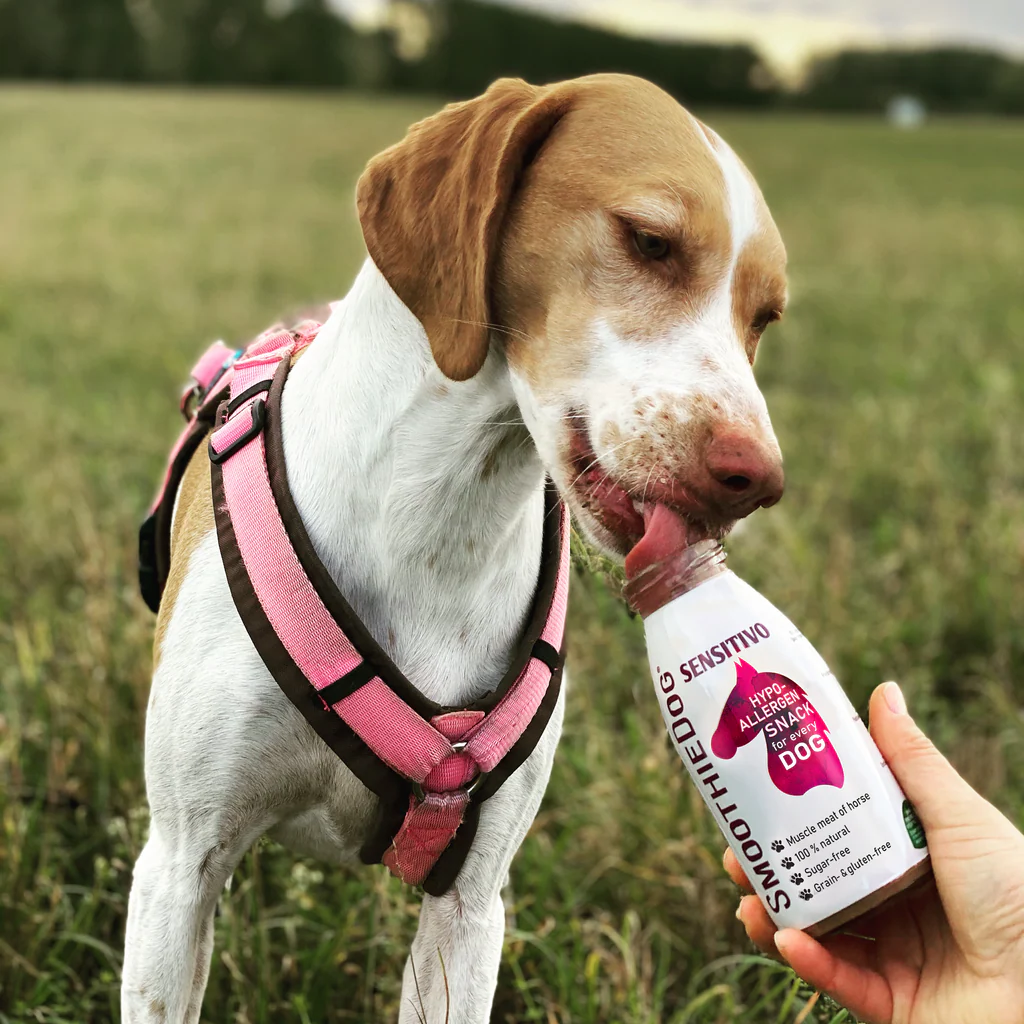 Hipoalerginis SmoothieDog glotnutis šunims su arkliena
