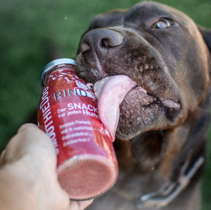 SmoothieDog glotnutis šunims su jautiena