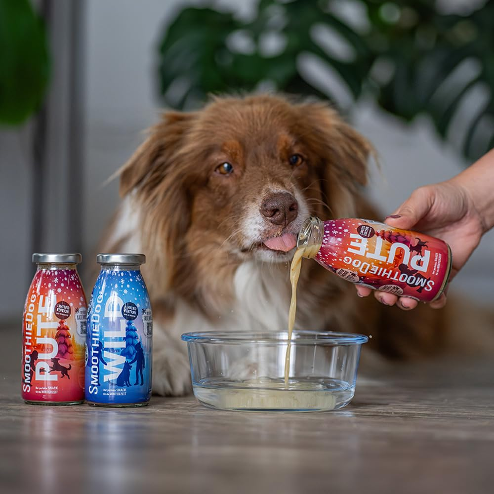 SmoothieDog glotnutis šunims su kalakutiena