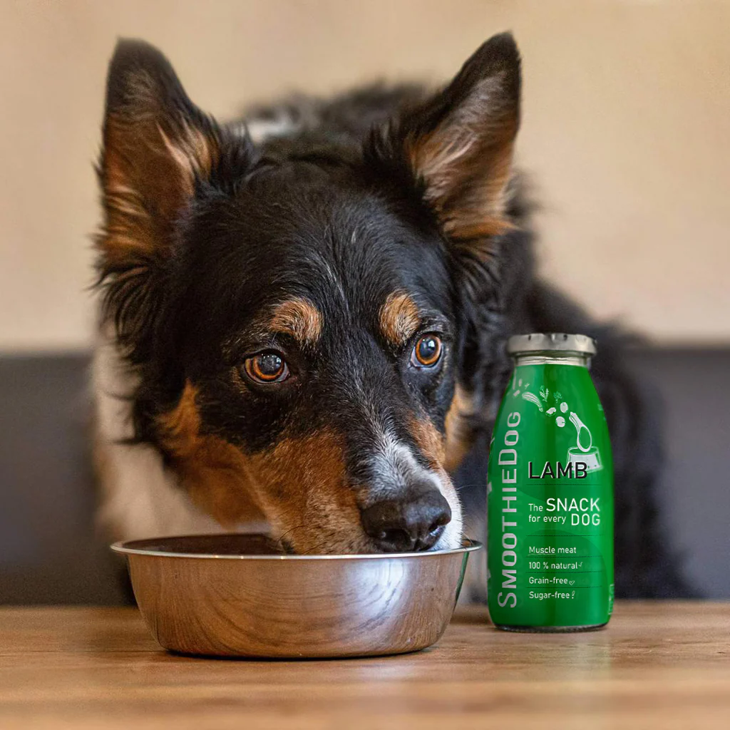 SmoothieDog glotnutis šunims su ėriena