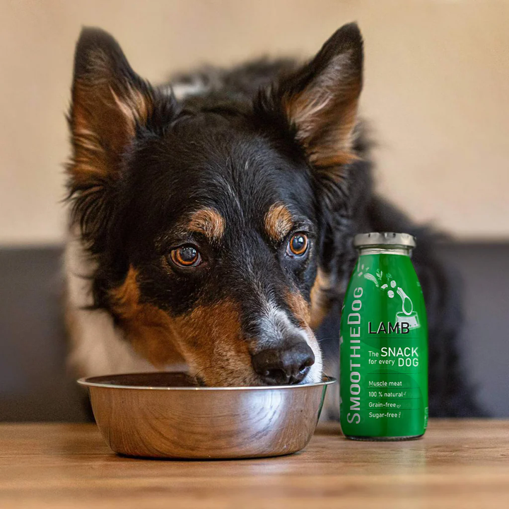 SmoothieDog glotnutis šunims su ėriena