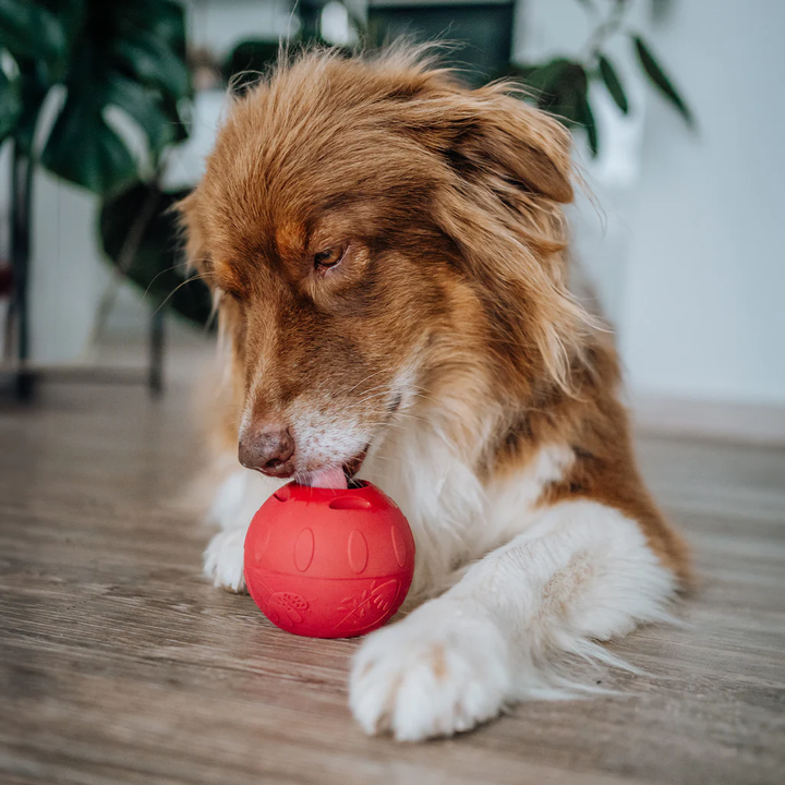 SmoothieDog laižymo kamuolys šunims