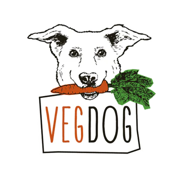 logo 13