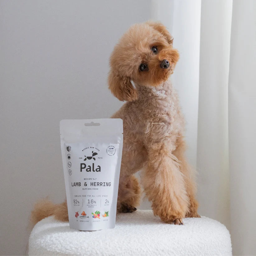 Pala receptas #7 ėriena ir silkė (100 g.)